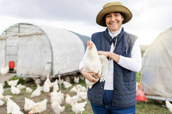 Intelligent hatcheries : the future of connected poultry management